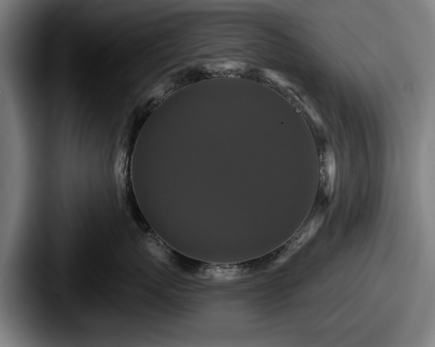 X0000087700767200705111403