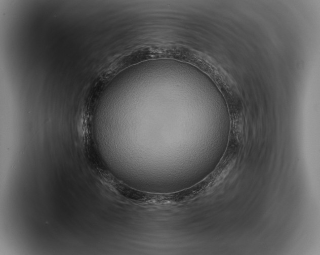 X0000087700770200705111402