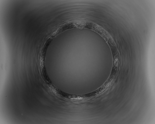 X0000087700772200705111402