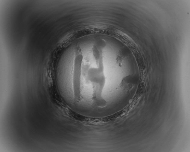 X0000087700774200705111402