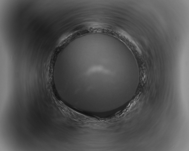 X0000087700775200705111402