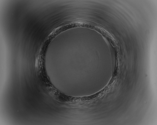 X0000087700776200705111402