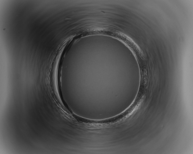 X0000087700777200705111402