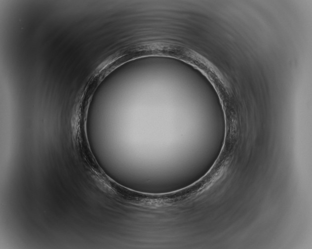 X0000087700778200705111402