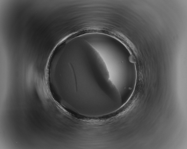 X0000087700779200705111402