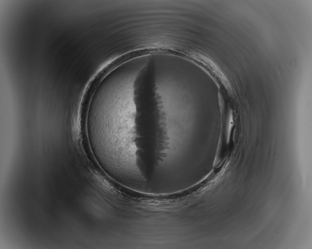 X0000087700780200705111402