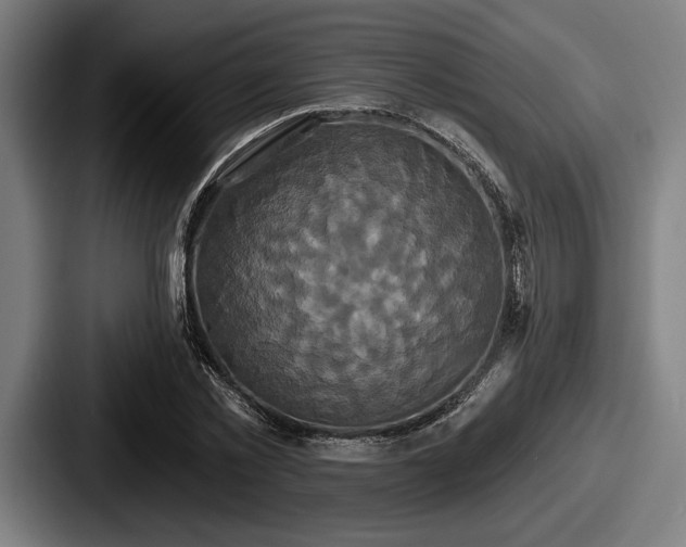 X0000087700781200705111402