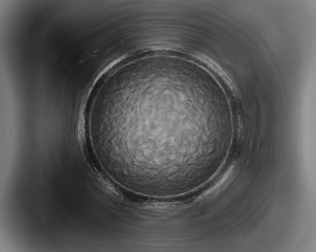 X0000087700782200705111402