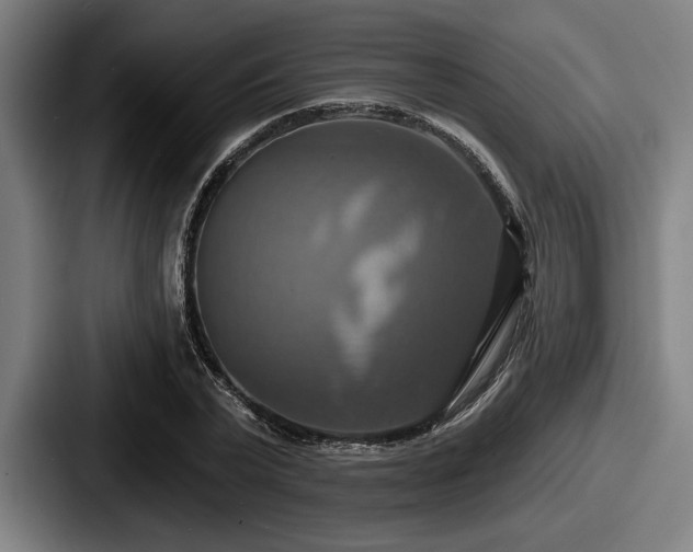 X0000087700783200705111402