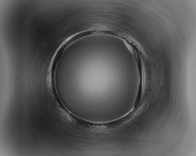 X0000087700784200705111402