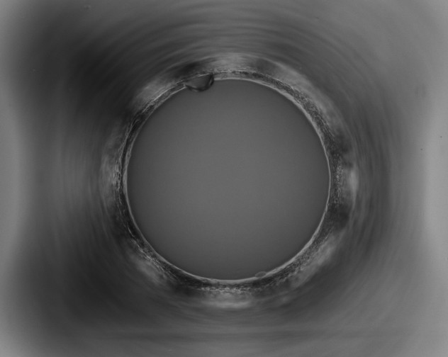 X0000087700785200705111402