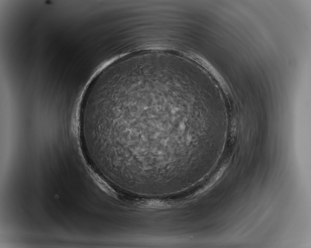 X0000087700787200705111402