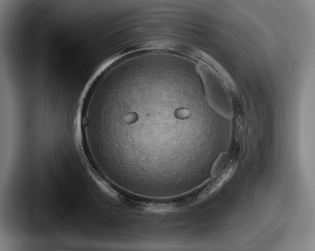 X0000087700788200705111402