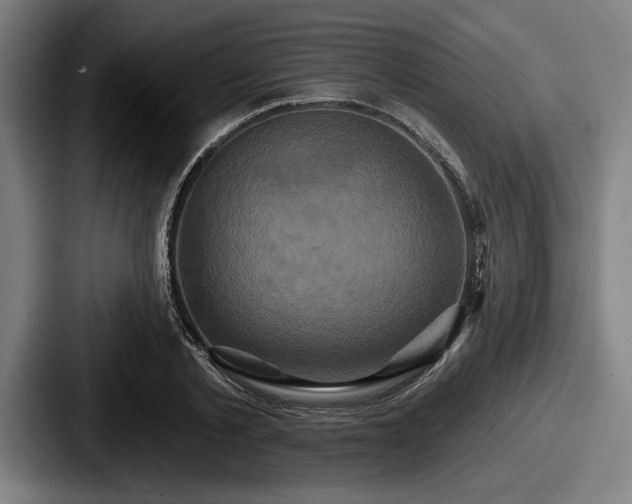 X0000087700789200705111402