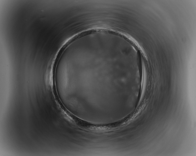 X0000087700791200705111402