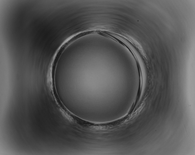 X0000087700792200705111402