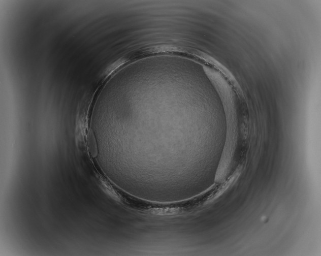 X0000087700793200705111402