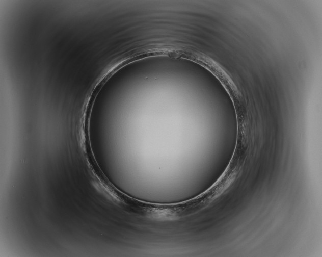 X0000087700794200705111402