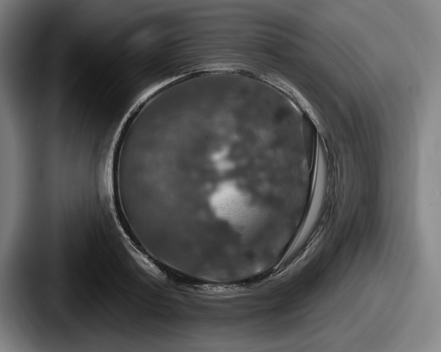 X0000087700795200705111402