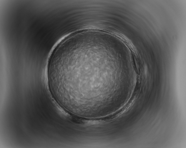 X0000087700796200705111402