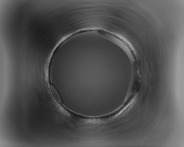 X0000087700797200705111402