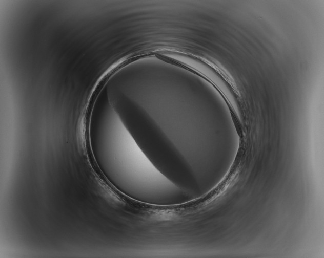 X0000087700798200705111402