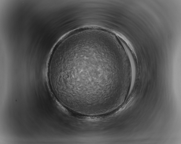 X0000087700799200705111402