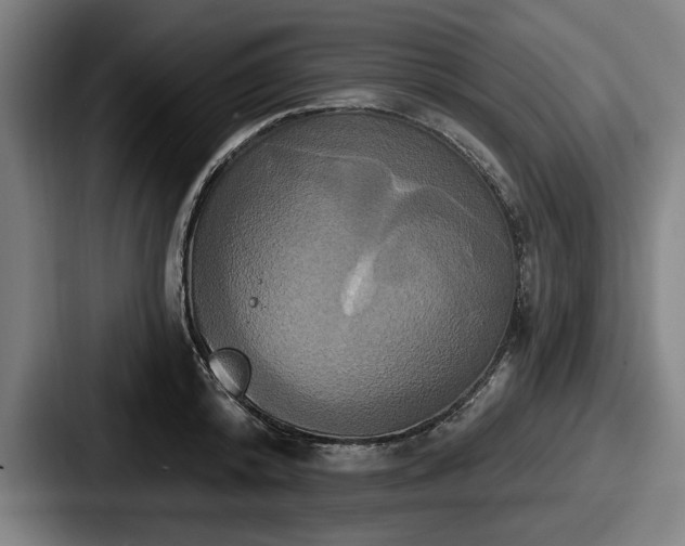 X0000087700800200705111402