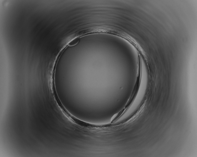 X0000087700802200705111402