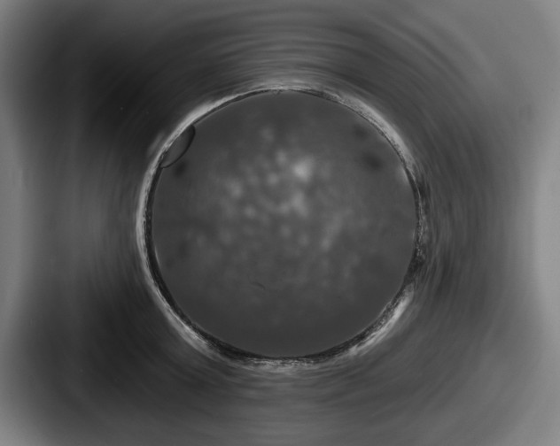 X0000087700803200705111402