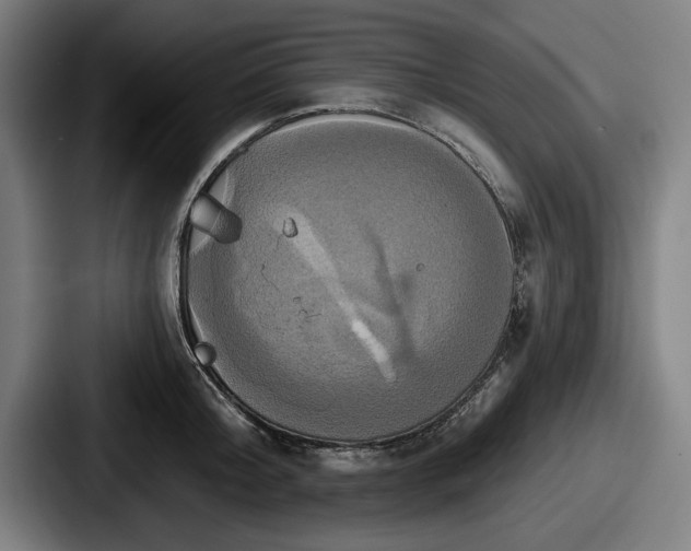 X0000087700804200705111402