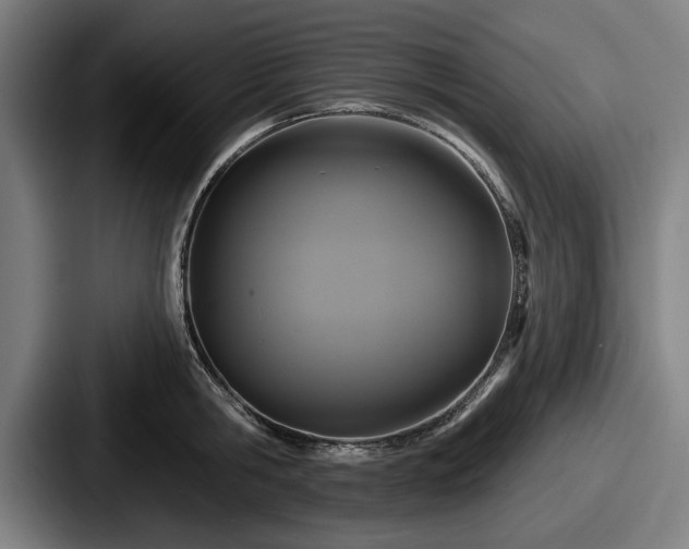 X0000087700806200705111402