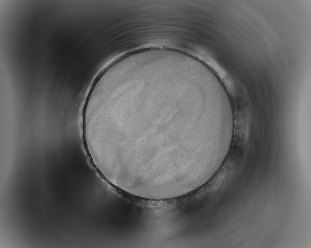 X0000087700807200705111402