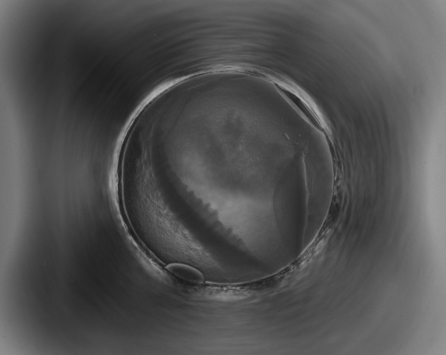 X0000087700811200705111402