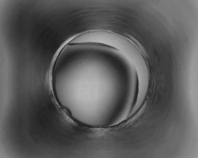 X0000087700812200705111402