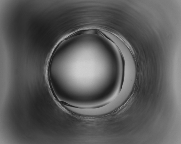 X0000087700813200705111402