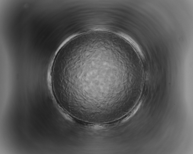 X0000087700814200705111402