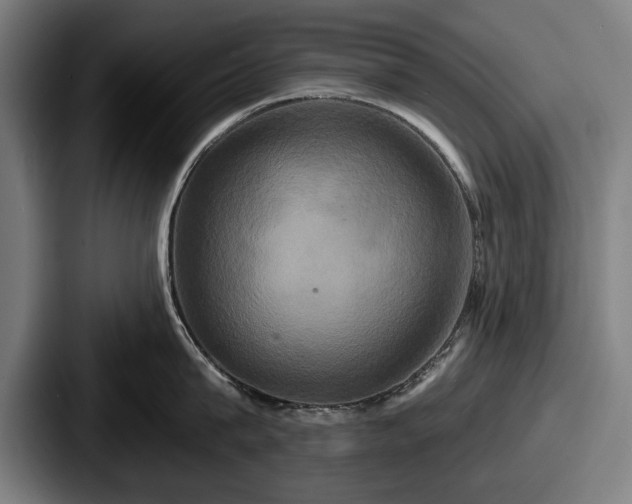 X0000087700815200705111402