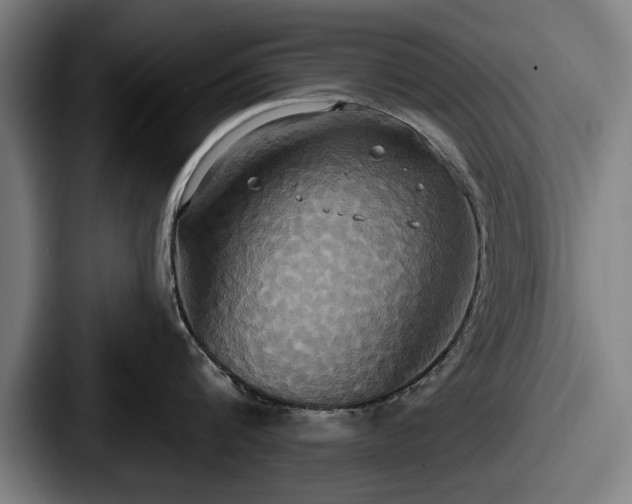 X0000087700816200705111402