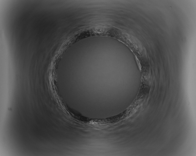 X0000087700817200705111401