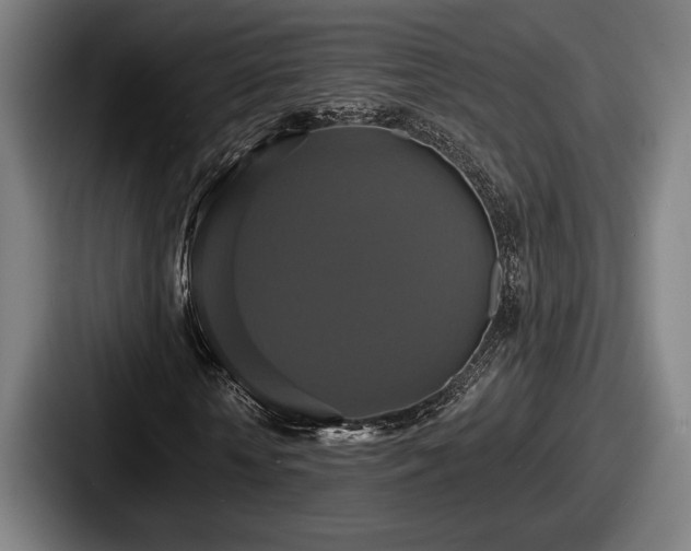 X0000087700818200705111401