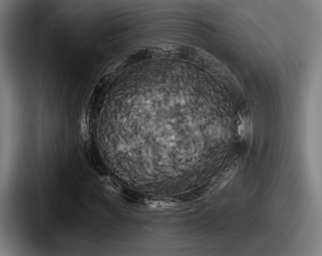 X0000087700819200705111401