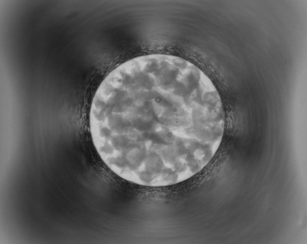 X0000087700820200705111401