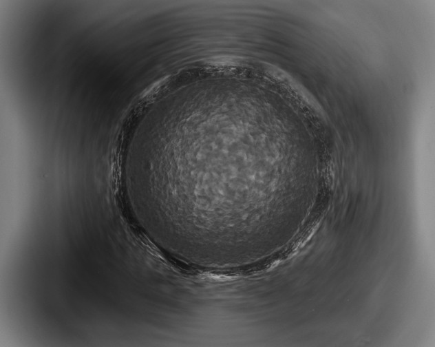 X0000087700821200705111401