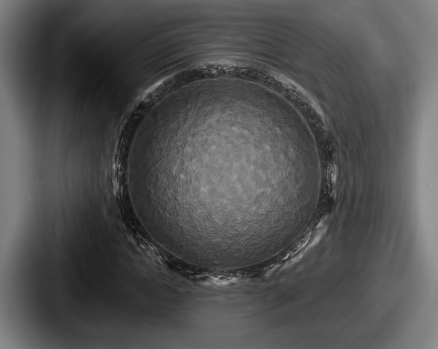 X0000087700822200705111401