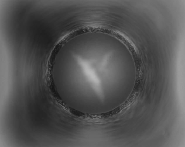 X0000087700823200705111401