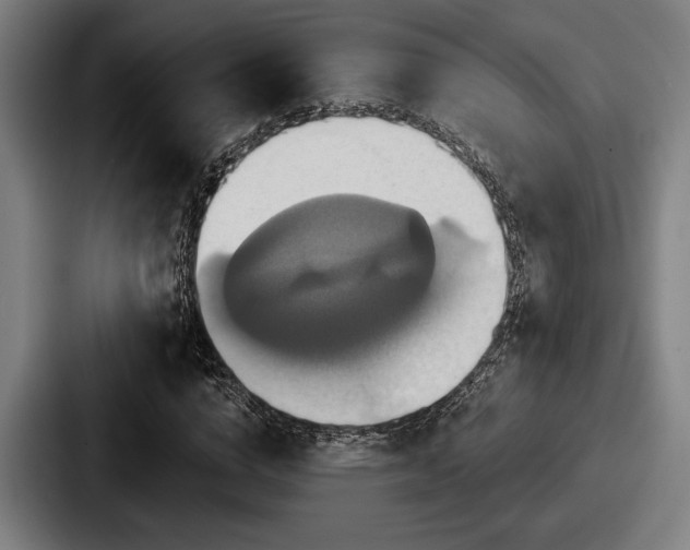 X0000087700824200705111401