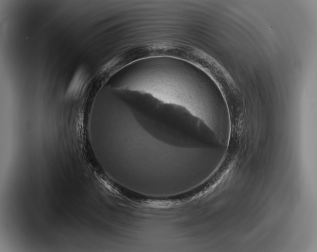 X0000087700825200705111401