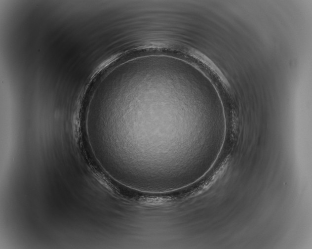 X0000087700826200705111401