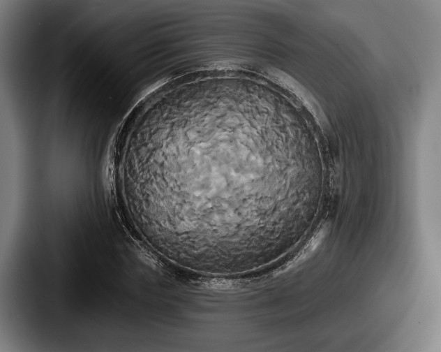 X0000087700827200705111401